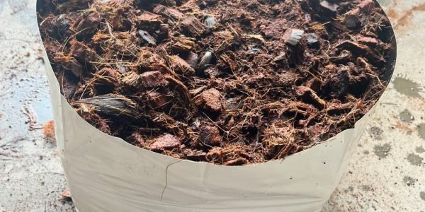 cocopeat-open-top-grow-bags