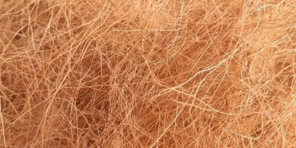p.cocofiber-1