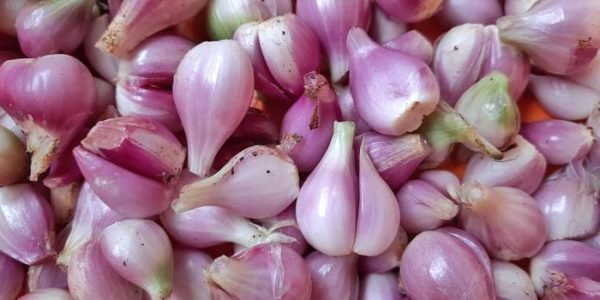 pile-of-fresh-red-onions-sumenep-or-bawang-merah-sumenep-background-indonesia-photo